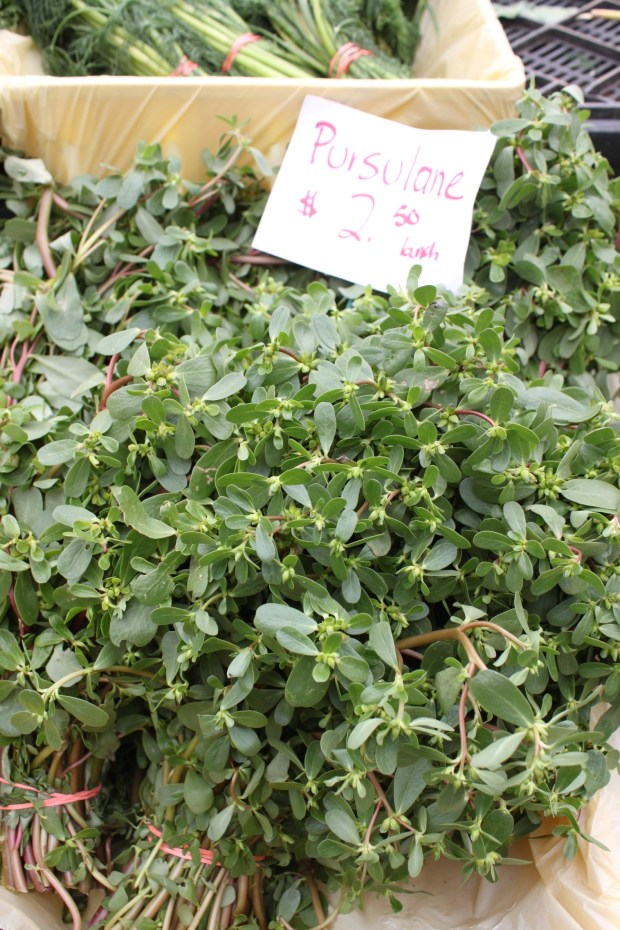Purslane