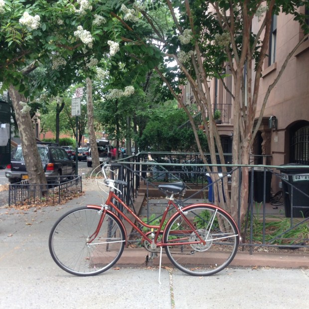 Schwinne Suburban 1974